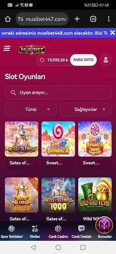 Screenshot_20251025_014856_com.android.chrome