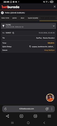 Screenshot_20260310_224550_Yandex Browser