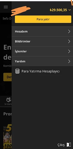 Mobilbahis1