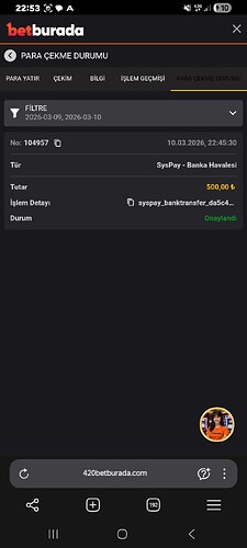 Screenshot_20260310_225339_Yandex Browser